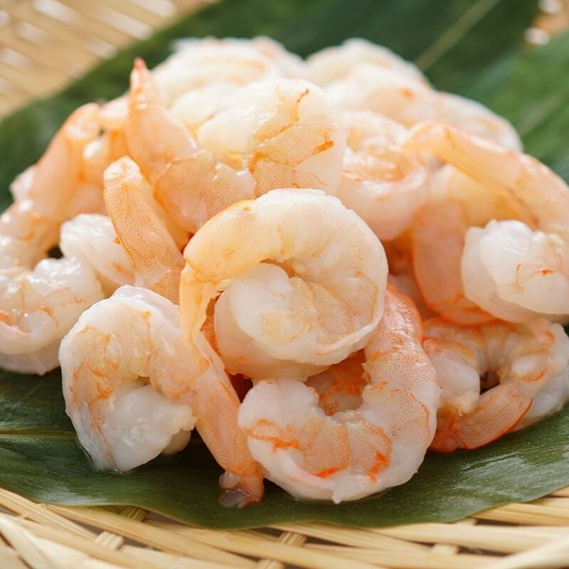 Shrimp